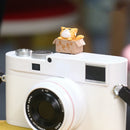 Cartoon Cat Hot Shoe Protection Cover for SLR Cameras – Dustproof Cute Photography Accessory